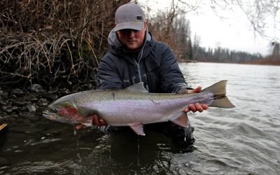 Spring Steelhead Fishing